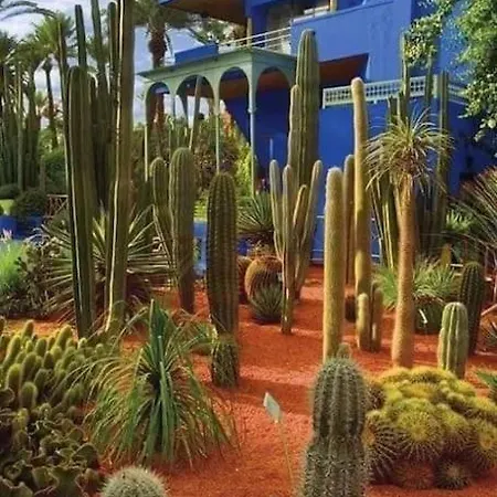 Jardin Majorelle Appartement Marrakesh Exterior photo