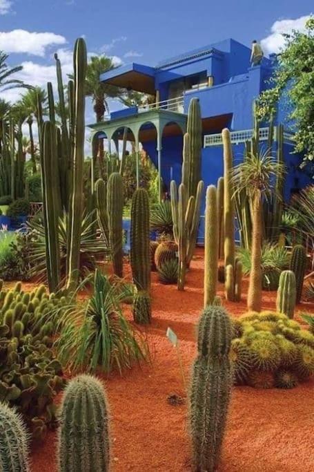 Jardin Majorelle شقة